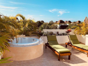 Spacious Penthouse with private rooftop & jacuzzi